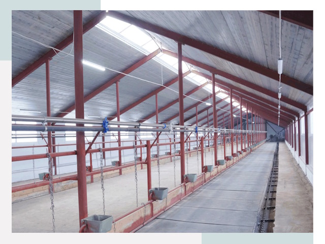 Строительство коровников в Керчи от 613 руб.