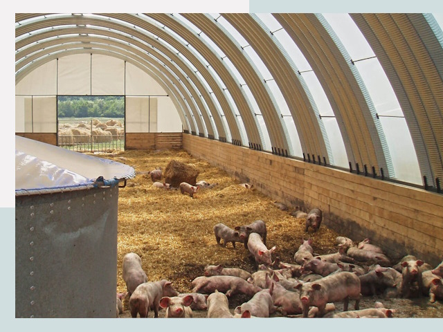 Строительство свинарников в Керчи