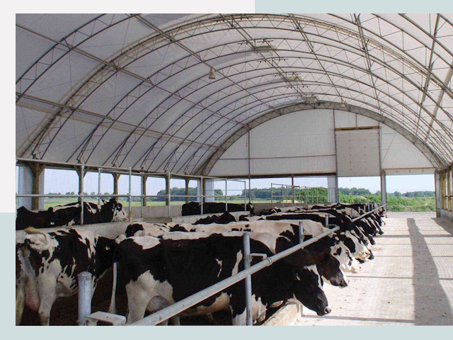 Тентовые коровники в Керчи